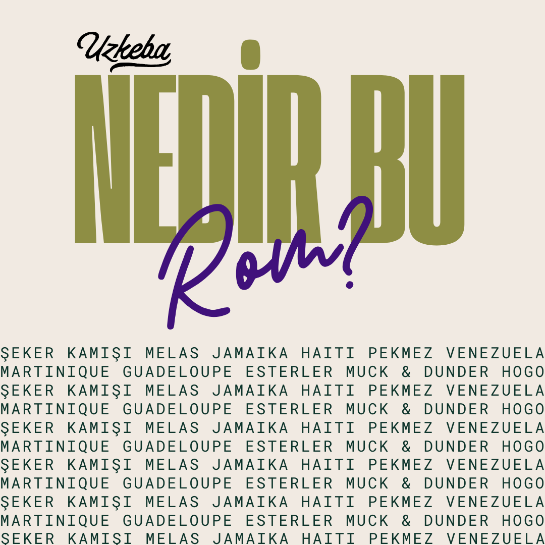 Nedir Bu Rom?
